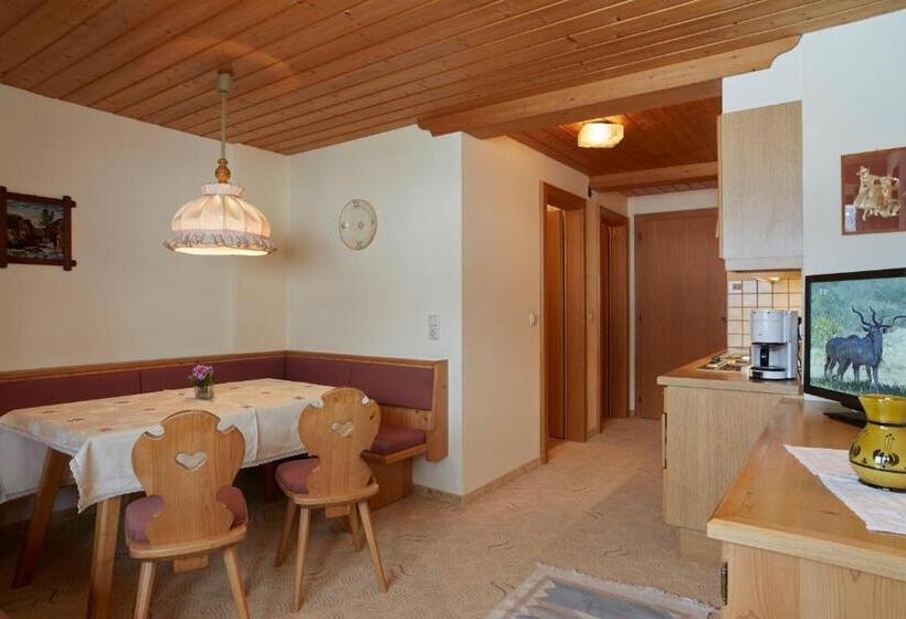 Апартаменты 1 Спальня с Балконом, Apart & Pension Wassermann Inklusive Sommerbergbahnticket