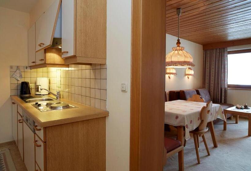 Апартаменты 2 Спальни, Apart & Pension Wassermann Inklusive Sommerbergbahnticket