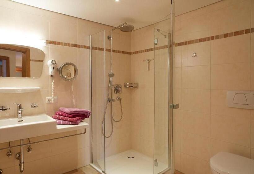 Апартаменты 2 Спальни, Apart & Pension Wassermann Inklusive Sommerbergbahnticket