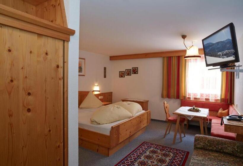 Стандартный Номер Нижний Этаж, Apart & Pension Wassermann Inklusive Sommerbergbahnticket