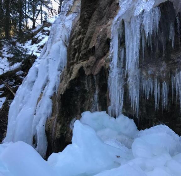 Апартаменты 1 Спальня, Apart & Pension Wassermann Inklusive Sommerbergbahnticket