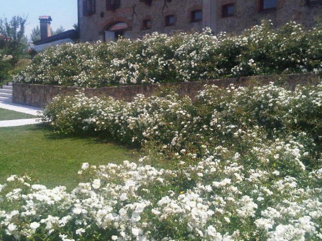 Номер Стандарт, Azienda Agrituristica Calronche