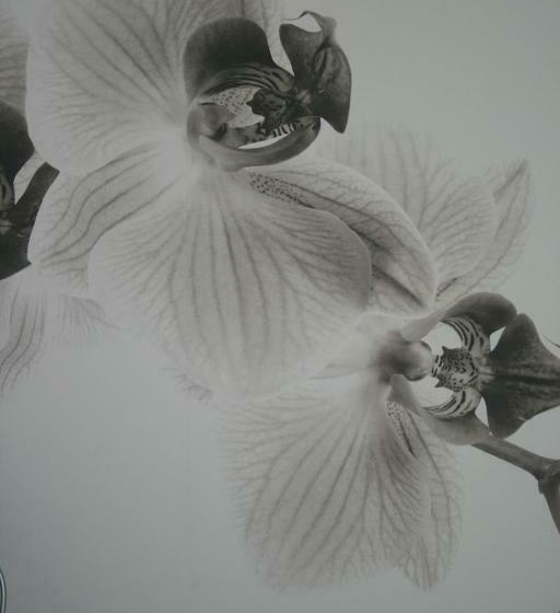 غرفة قياسية ذات إطلالة, Azienda Agrituristica Calronche