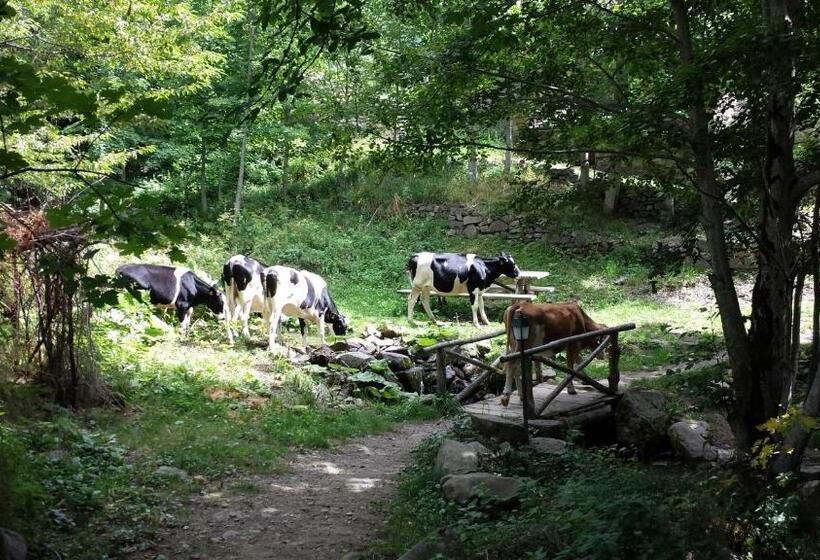 带1个卧室的公寓, Il Borgo Dei Celti