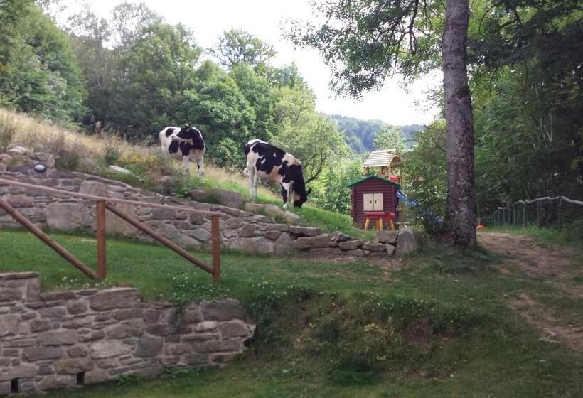 标准工作室, Il Borgo Dei Celti