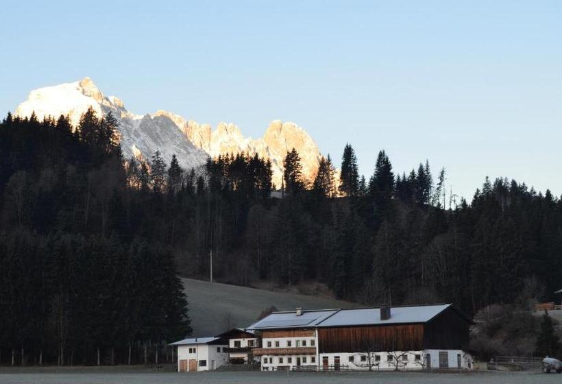 Апартаменты 1 Спальня, Haus Treffer