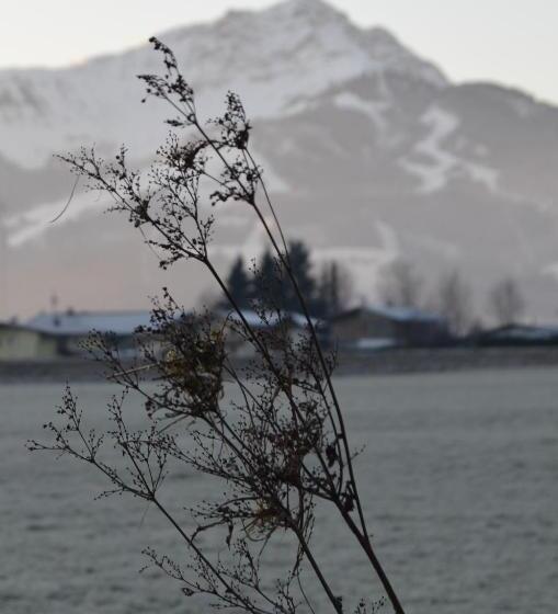 Апартаменты 1 Спальня, Haus Treffer