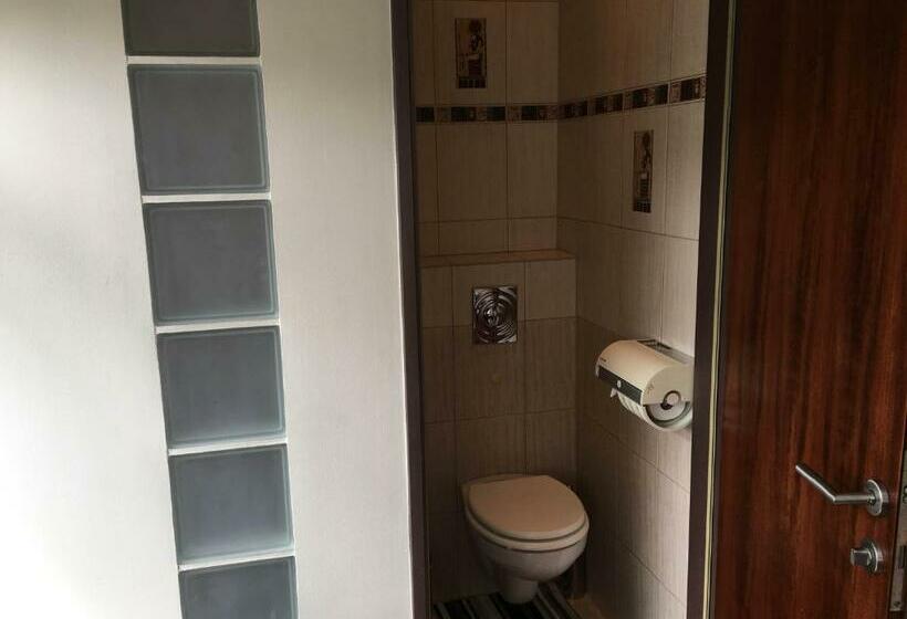 阁楼房, Roxane Panzio