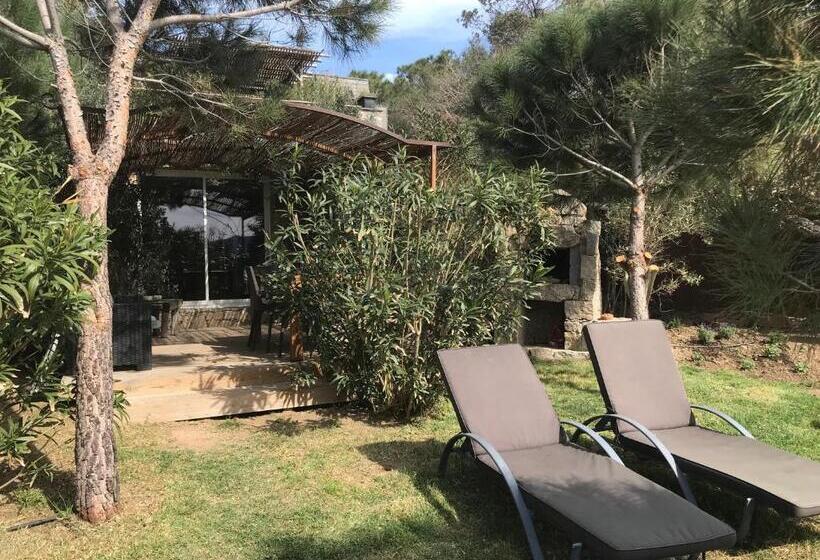 Вилла 2 Спальни Вид на Море, Maranatha Résidence Avec Plage Privée, Piscine Chauffée