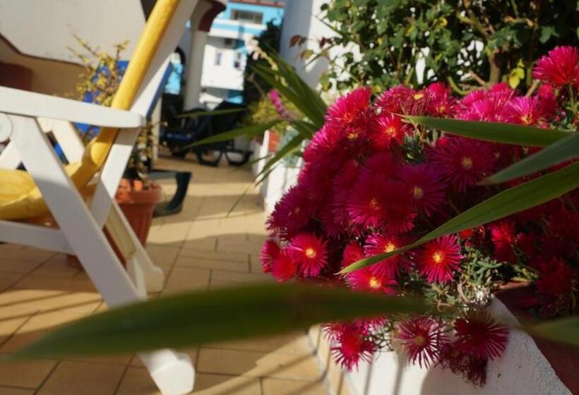 스탠다드 룸, Apartamentos E Quartos Atalaia