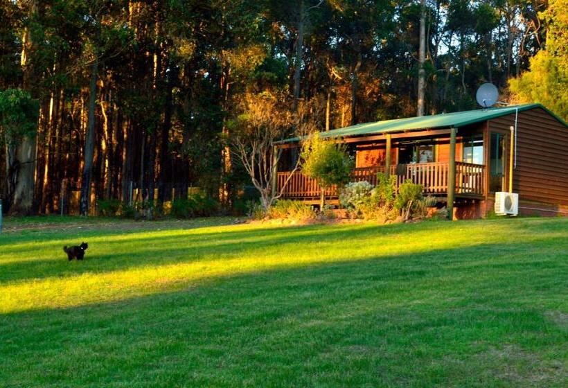 キャビン, Diamond Forest Farm Stay