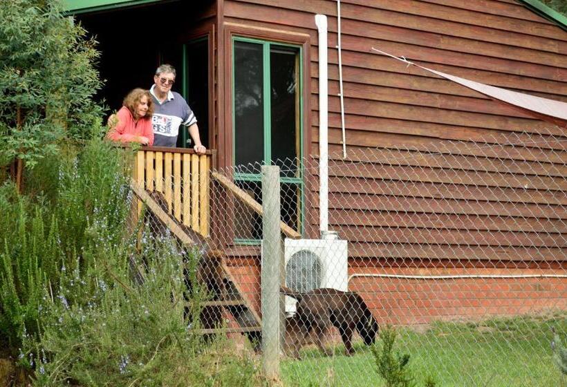 ２ベッドルームハウス, Diamond Forest Farm Stay