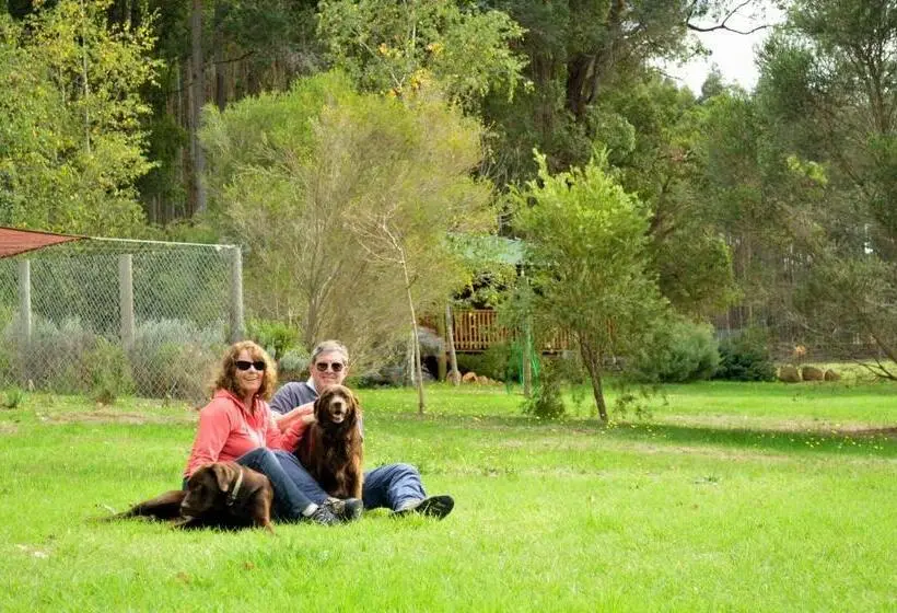 Talo 2 Makuuhuonetta, Diamond Forest Farm Stay