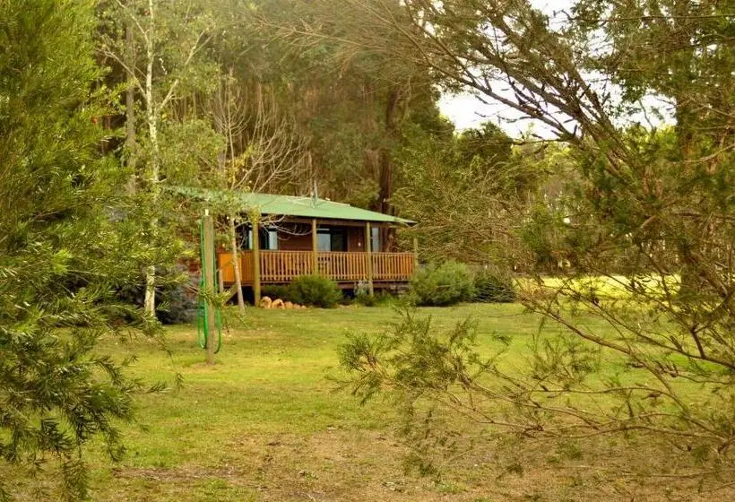 Talo 2 Makuuhuonetta, Diamond Forest Farm Stay