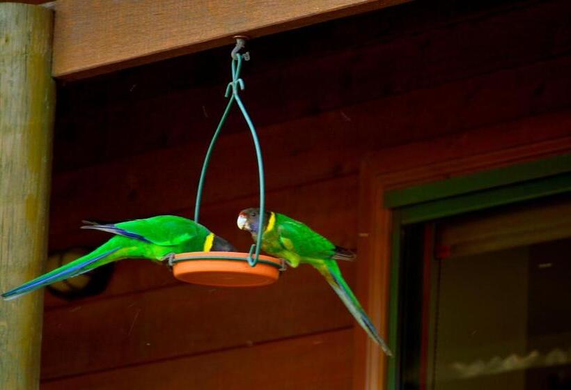 キャビン, Diamond Forest Farm Stay