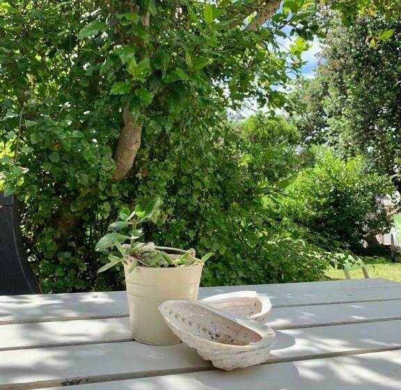 خانه 1 خوابه, Anchor's Rest