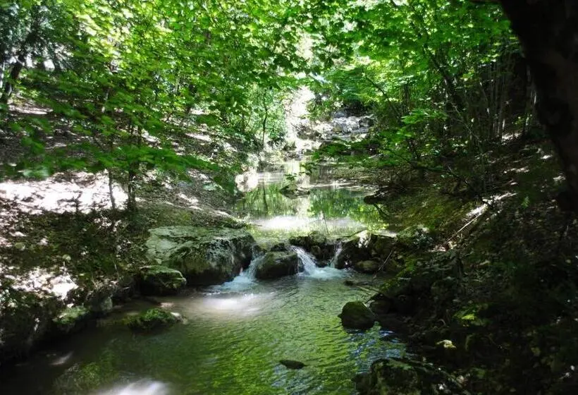 ジュニアスイート, Domaine D Angouire