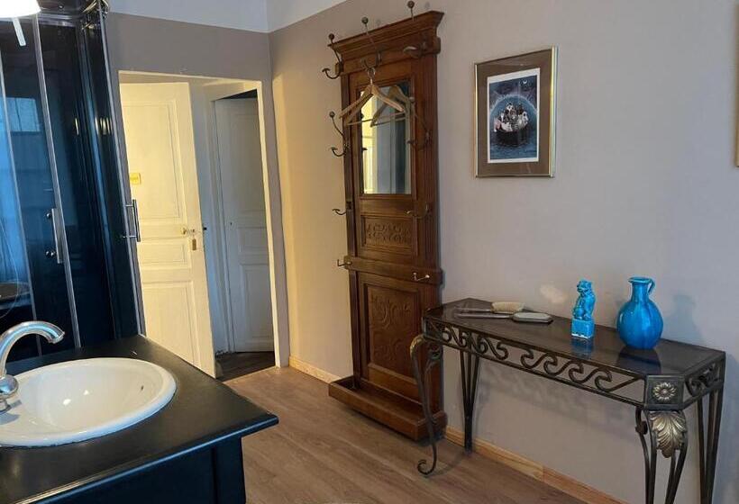 اتاق استاندارد با چشم‌انداز پارک, Domaine D Angouire