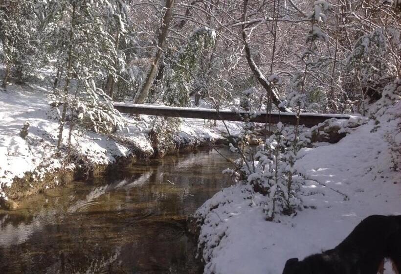 اتاق استاندارد با چشم‌انداز پارک, Domaine D Angouire