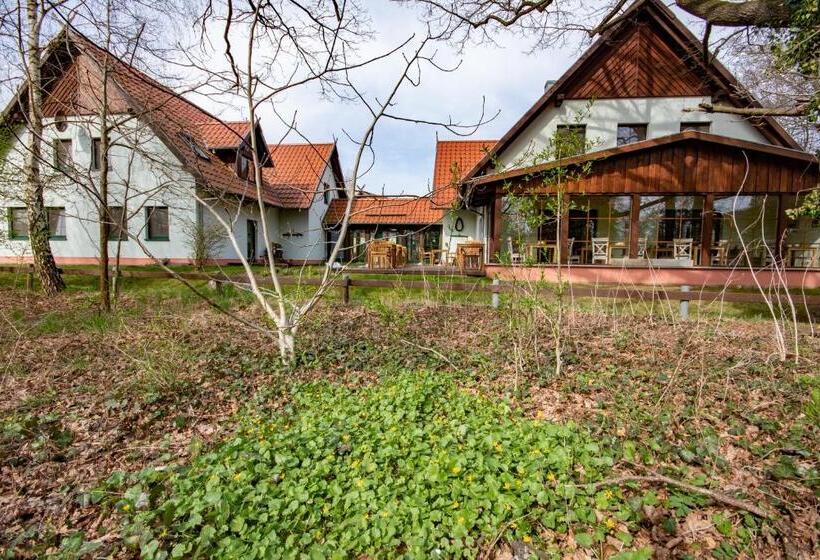 Апартаменты 1 Спальня, Spreewälder Feriendomizil/pension