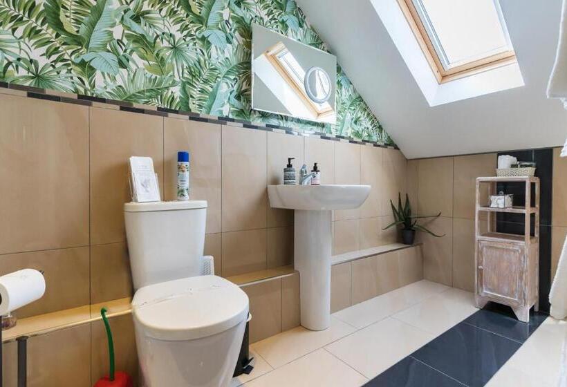 חדר סטנדרט, Maes Bach