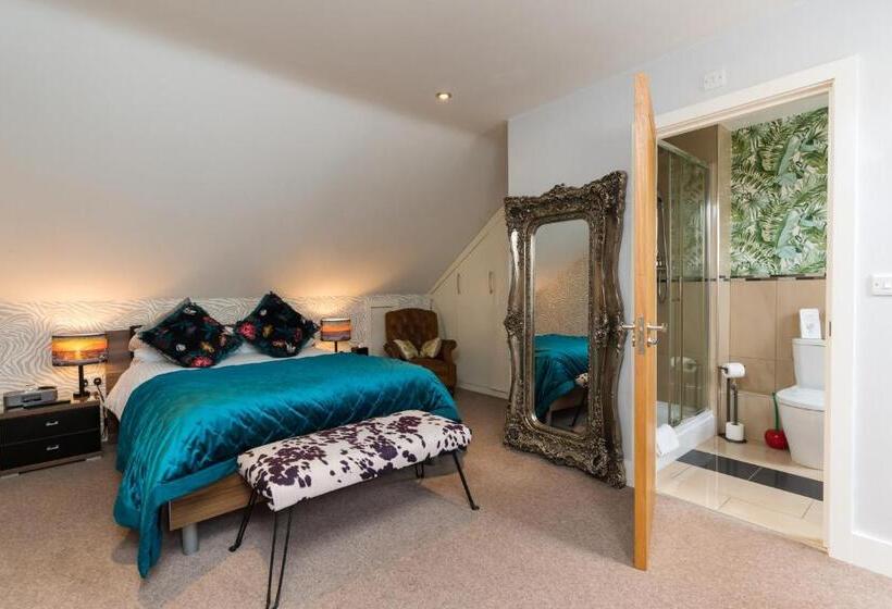 חדר סטנדרט, Maes Bach