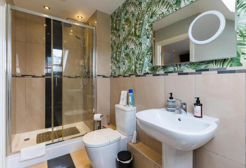 חדר סטנדרט, Maes Bach