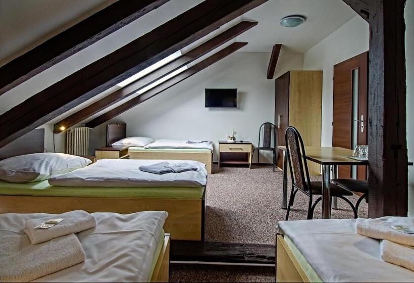 חדר סטנדרט לארבעה, U Heligonky