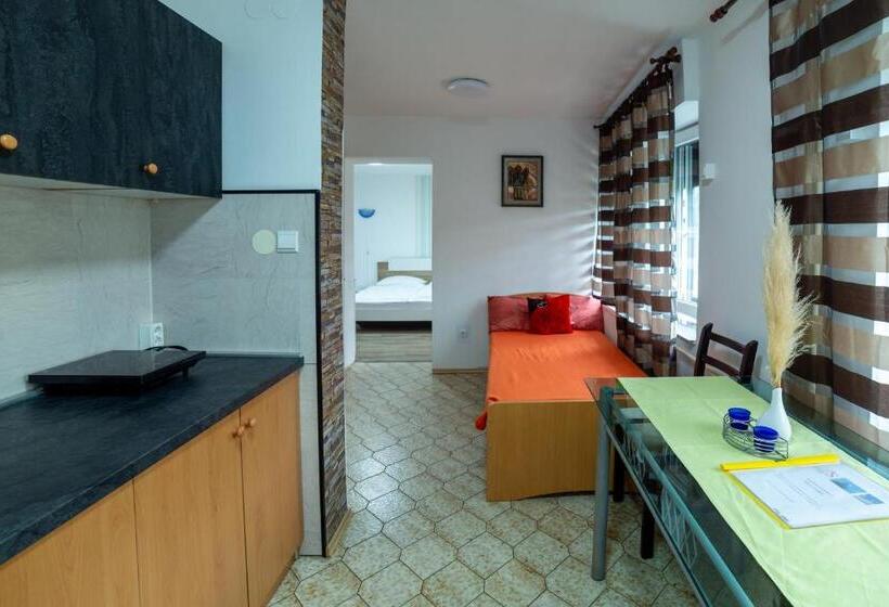 آپارتمان 1 خوابه, Apartments Silva