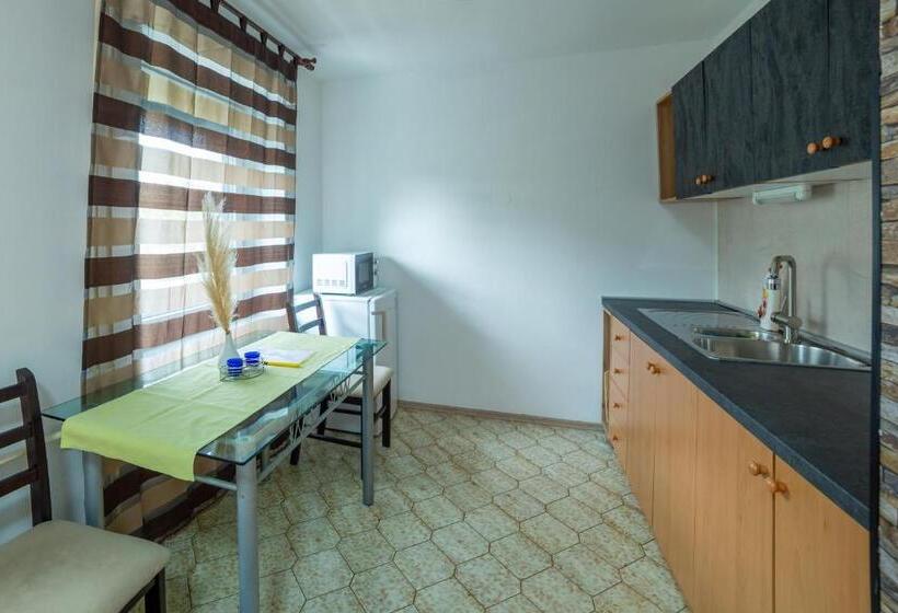 آپارتمان 1 خوابه, Apartments Silva