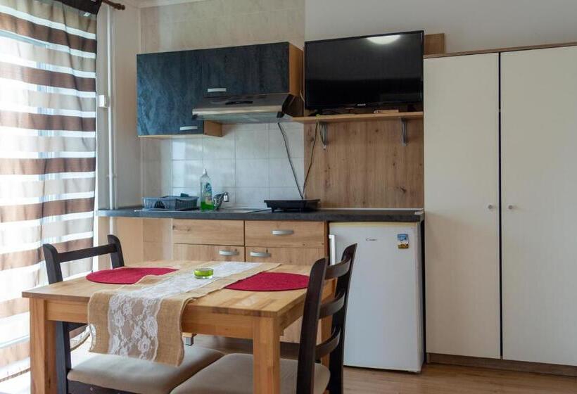 استودیوی استاندارد, Apartments Silva