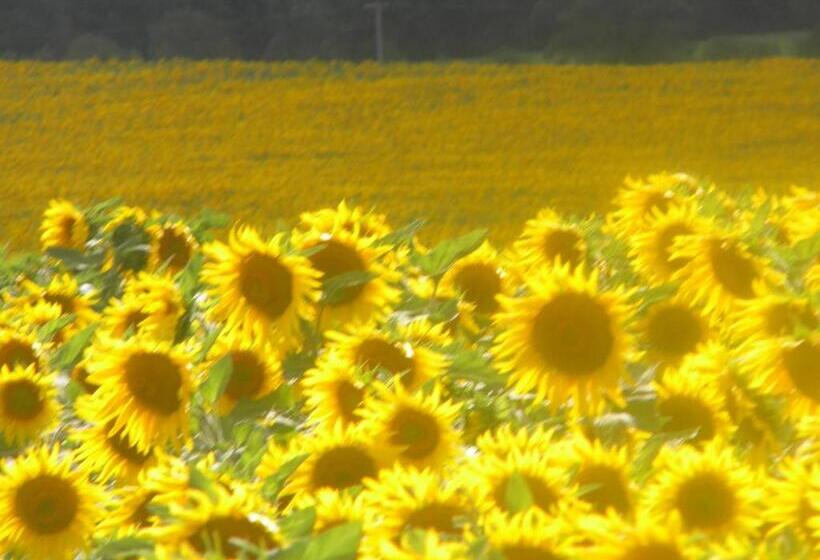 Номер Стандарт, Chambres D'hôtes Le Loubet