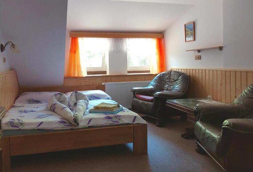 اتاق استاندارد, Penzion U Veselých