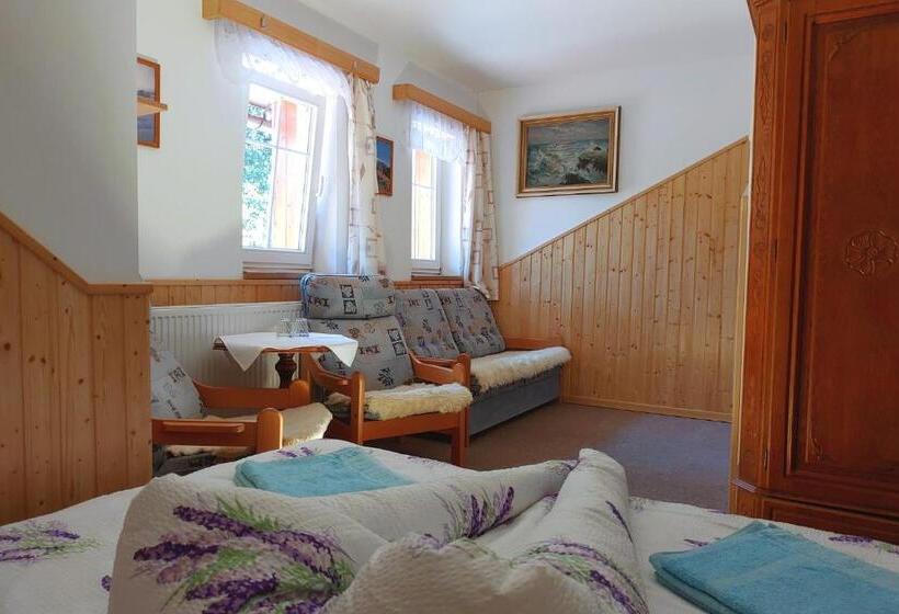 اتاق استاندارد, Penzion U Veselých
