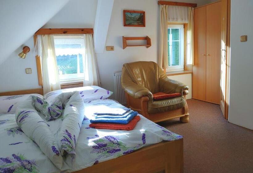 اتاق استاندارد, Penzion U Veselých