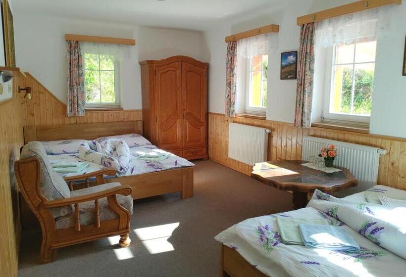 اتاق استاندارد چهار تخته, Penzion U Veselých