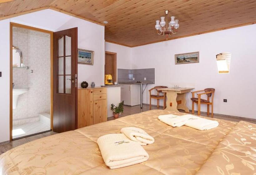 إستوديو قياسى, Pension Danninger