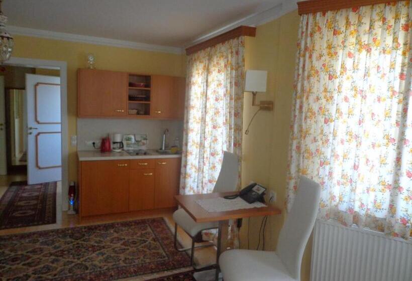 Apartament 1 Dormitori amb Balcó, Hans Mauracher Schlössl