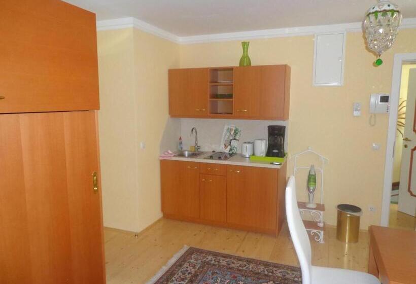 Apartament 1 Dormitori amb Balcó, Hans Mauracher Schlössl