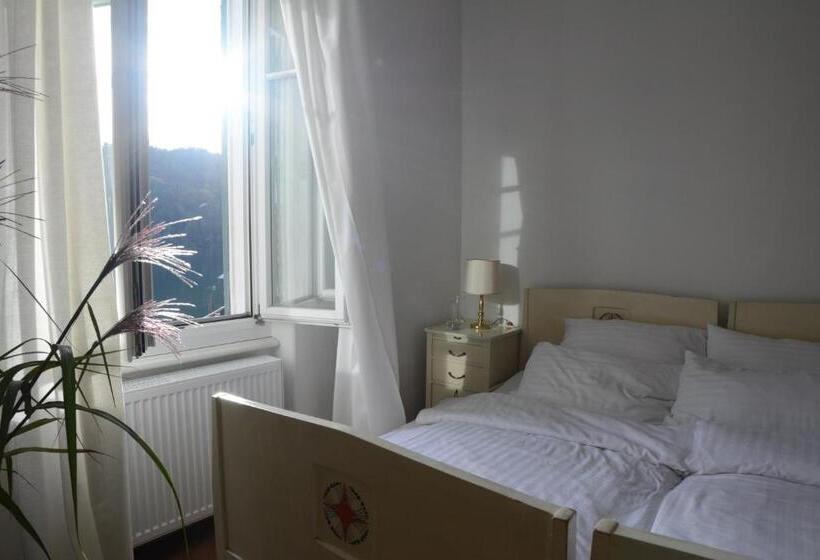 غرفة قياسية مطلّة علي البحيرة, Villa Streintz