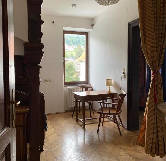 شقة غرفة واحدة مطلة على الحديقة, Villa Streintz