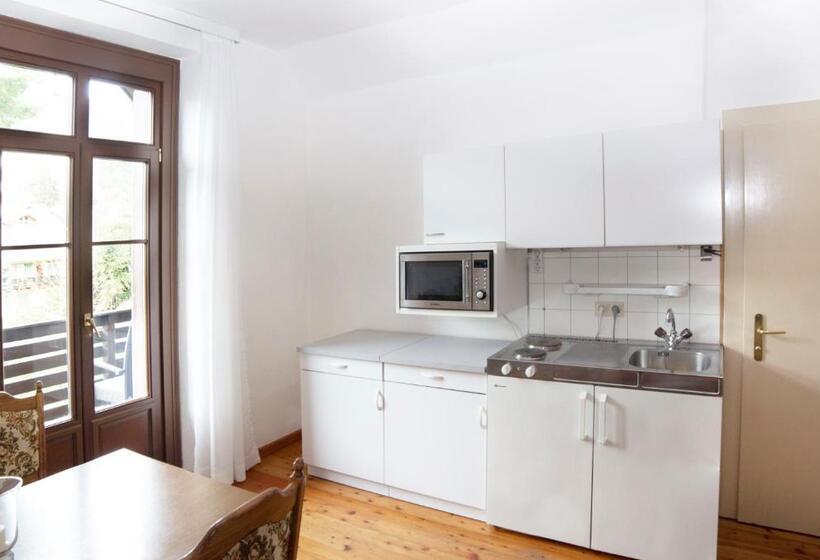 شقة غرفة واحدة مطلة على الحديقة, Villa Streintz