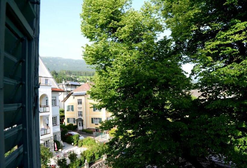 غرفة قياسية مطلة على المتنزه, Villa Streintz