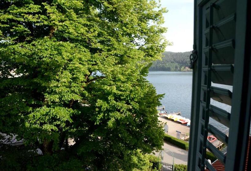 Номер Стандарт Вид на Парк, Villa Streintz