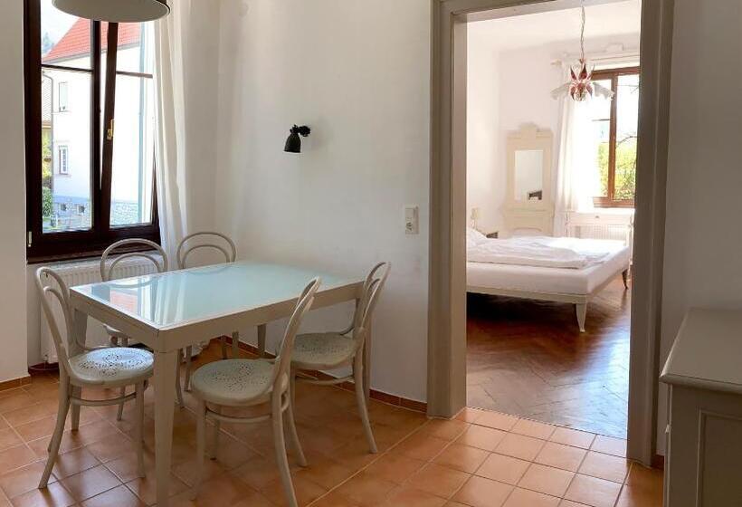 דירת שני חדרים, Villa Streintz