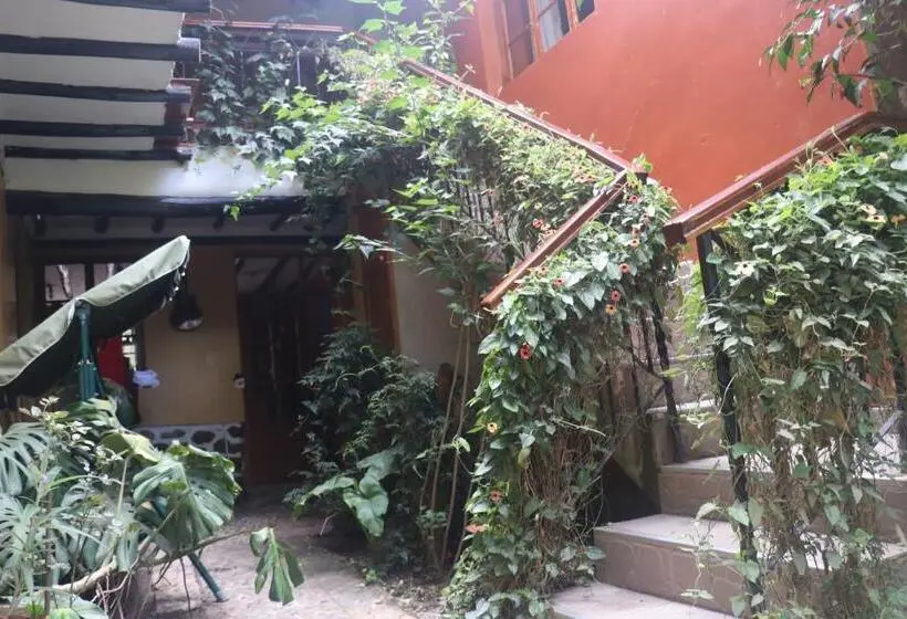 Standard Kolmen Hengen Huone, Wayras Hostal