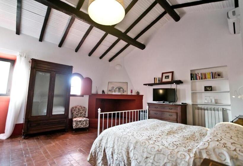 Номер Комфорт, Proprietà Scalfati