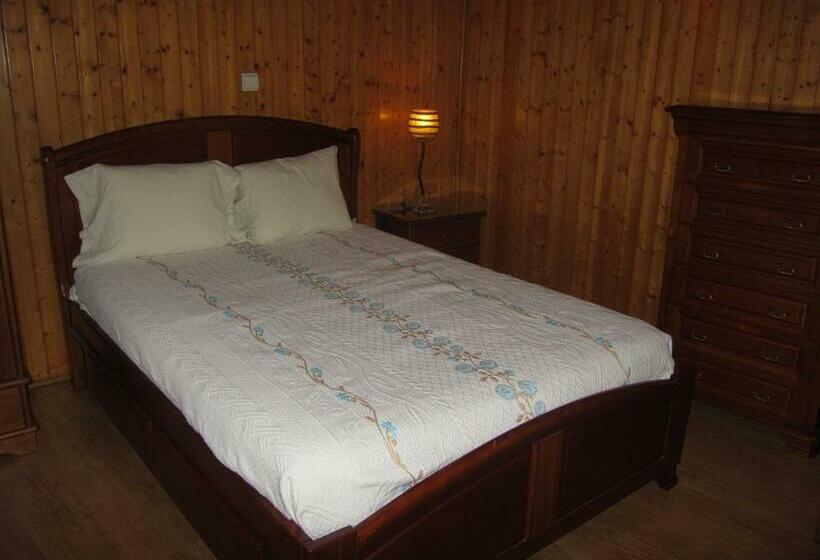 חדר סטודיו סטנדרד, D. Antonia