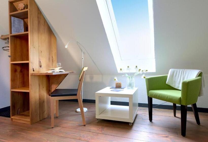 Номер Стандарт, Kanal 33