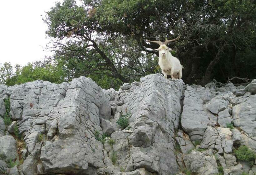 标准间, Chambres D'hôtes Le Mas De Molines